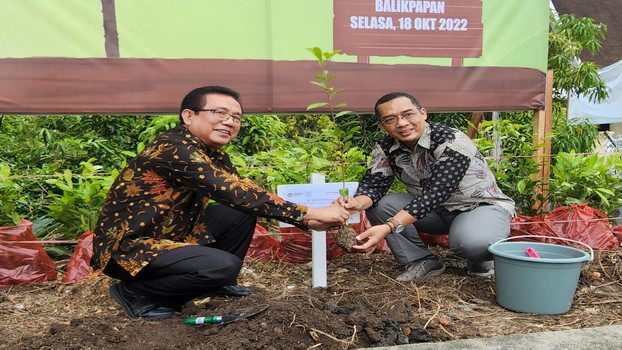 tanam pohon ok